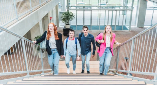 LearningWaves traineeship slaat brug tussen jonge professionals en mkb